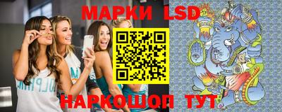 амф Дубна