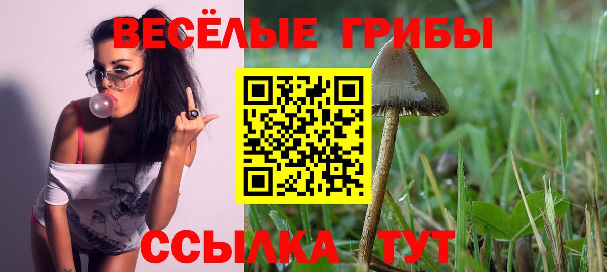 Псилоцибиновые грибы MAGIC MUSHROOMS Дубна